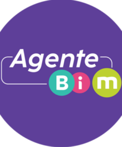 Agente BIM a tu servicio
