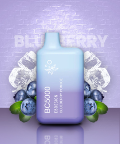 BLUEBERRY ICE