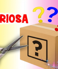 Misterio Kids