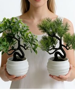 2 Bonsáis Artificiales en Macetas de Plástico Blanco –