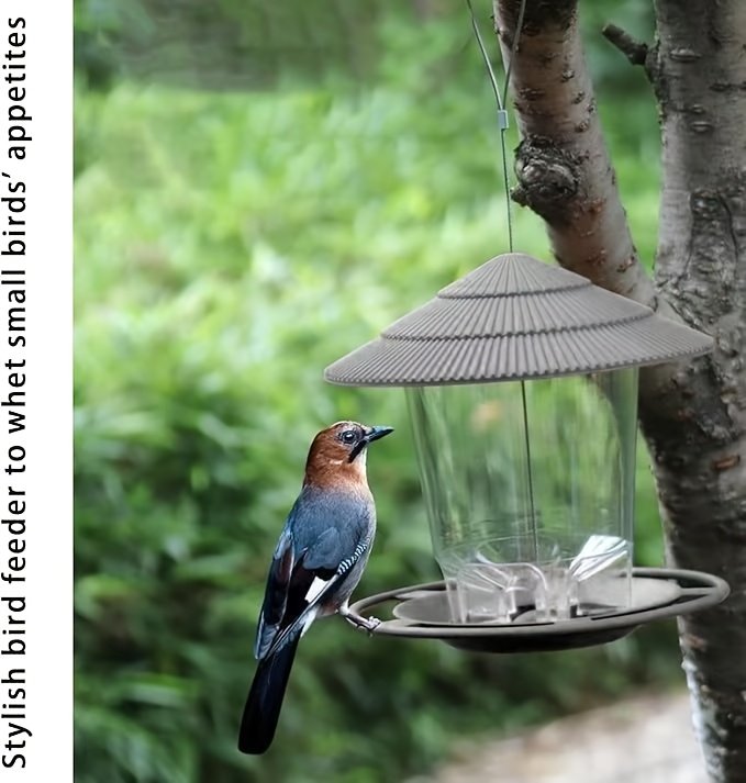 Nombre: Comedero colgante minimalista para pájaros de jardín al aire libre, popular comedero automático para colibríes para aves silvestres