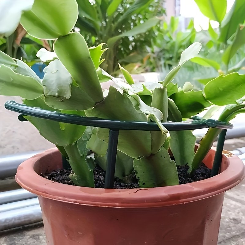 8 Piezas de Jaulas de Soporte para Plantas Ajustables de Plástico - Adecuadas para Interiores y Exteriores, Marcos Flexibles de Soporte para Jardín